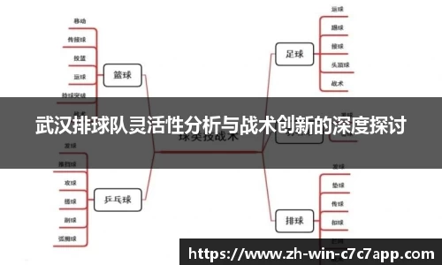 武汉排球队灵活性分析与战术创新的深度探讨